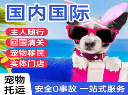 且末玉都机场空运国际宠物托运 【国